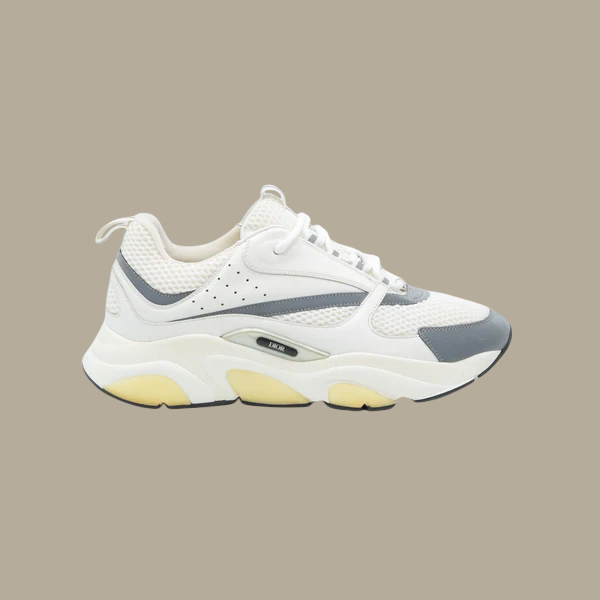 Dior B22