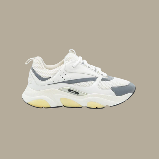 Dior B22