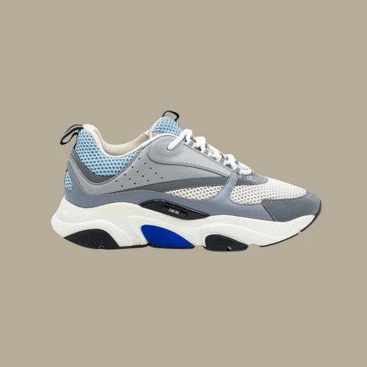 Dior B22